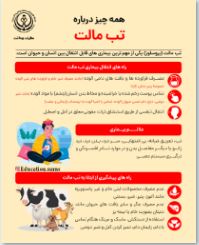 تب مالت